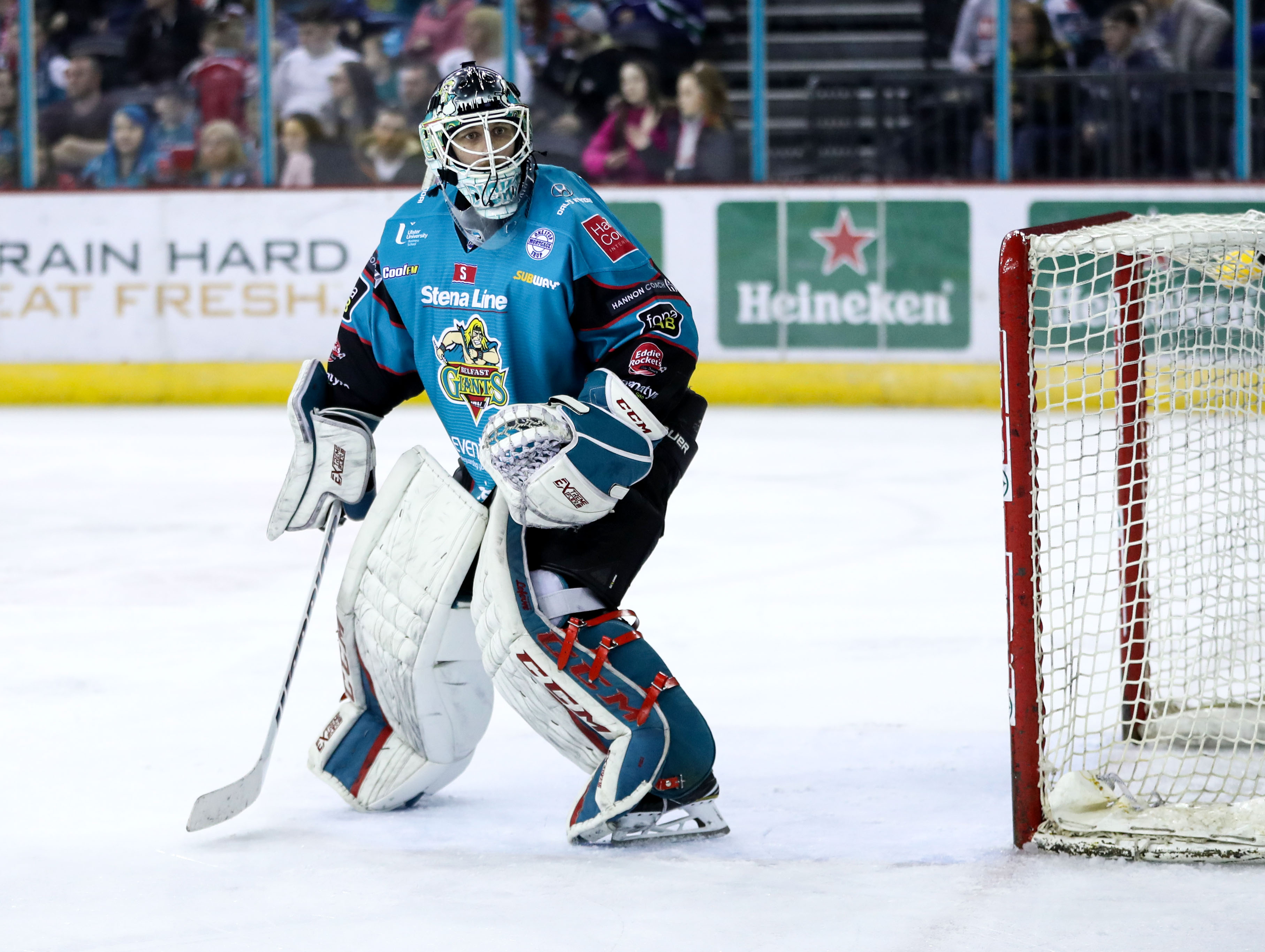 Belfast Giants v Sheffield Steelers - EIHL